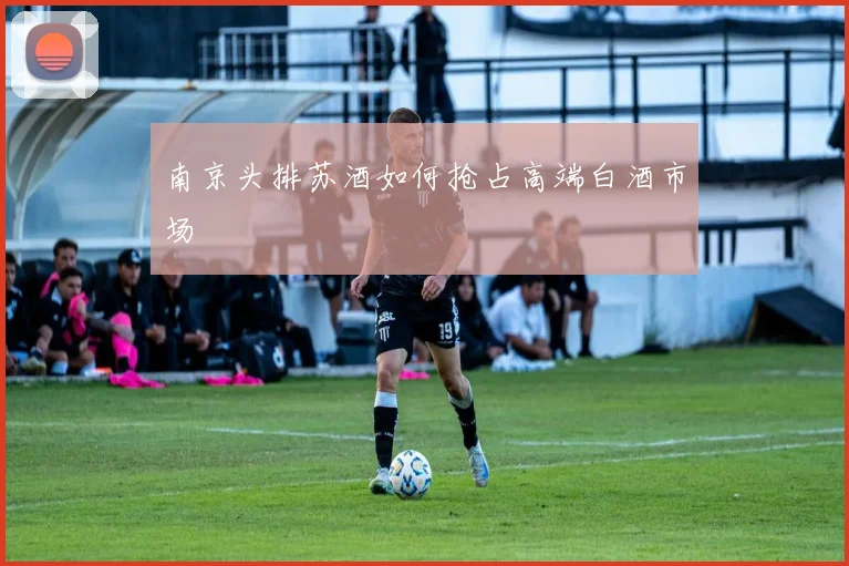 南京头排苏酒如何抢占高端白酒市场
