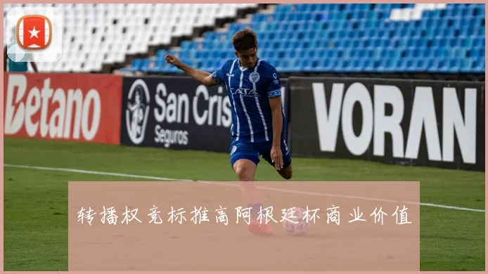 转播权竞标推高阿根廷杯商业价值